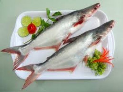 Cá tra - Công Ty TNHH Thanh Hiếu Foodstuff